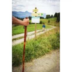 CAO Bâton De Marche Bois 3 Sections -Magasin De Camping cao baton de marche bois 3 sections 2