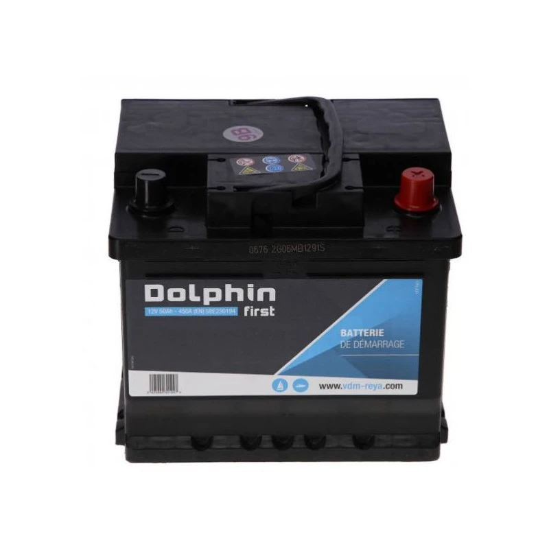 DOLPHIN First Batterie Calcium 50 Ah 4 DOLPHIN First Batterie Calcium 50 Ah – Image 2
