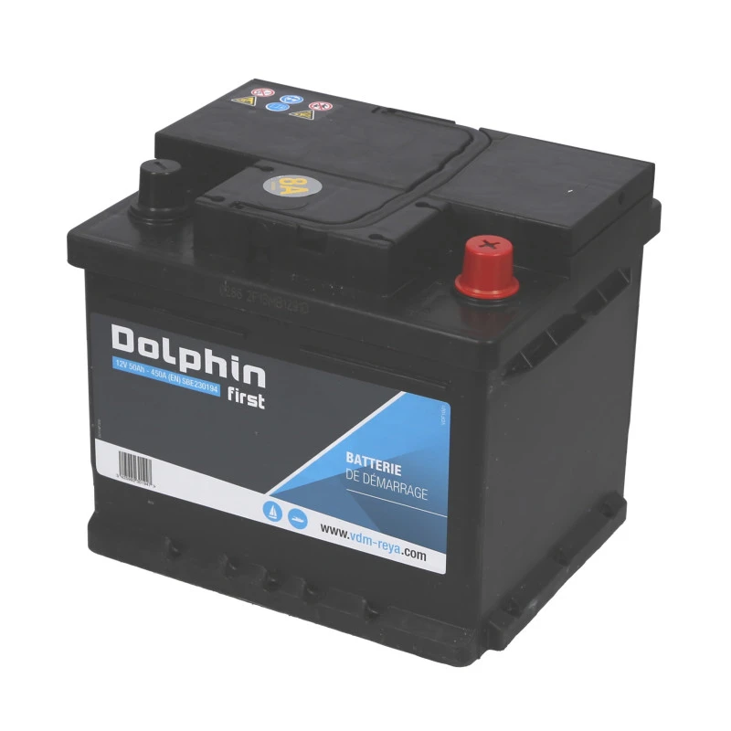 DOLPHIN First Batterie Calcium 50 Ah 3 DOLPHIN First Batterie Calcium 50 Ah
