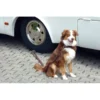 LINNEPE Dog-Sitter -Magasin De Camping linnepe dog sitter